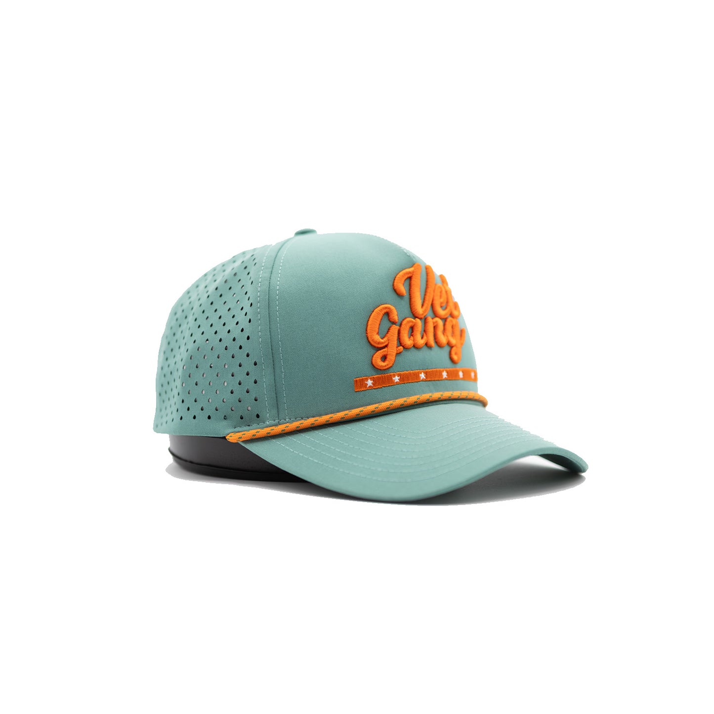VetGang The Ultimate Vet Snapback Hat